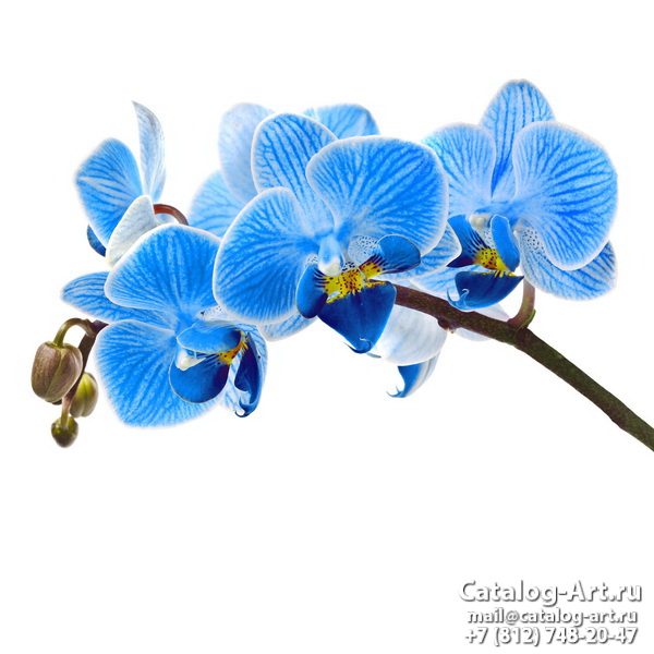 Bleu flowers 62